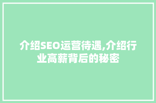 介绍SEO运营待遇,介绍行业高薪背后的秘密