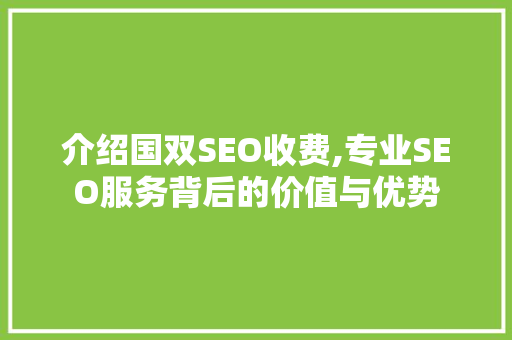 介绍国双SEO收费,专业SEO服务背后的价值与优势