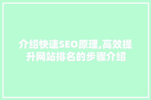 介绍快速SEO原理,高效提升网站排名的步骤介绍