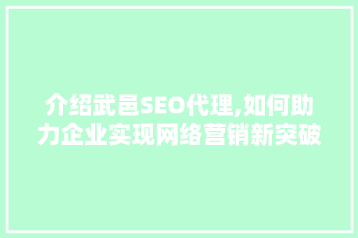 介绍武邑SEO代理,如何助力企业实现网络营销新突破