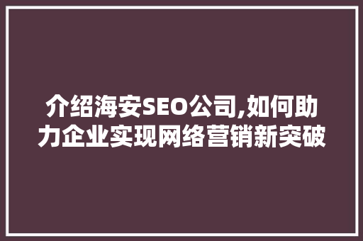 介绍海安SEO公司,如何助力企业实现网络营销新突破