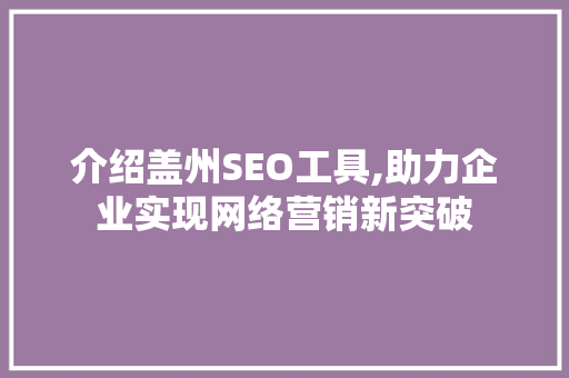 介绍盖州SEO工具,助力企业实现网络营销新突破