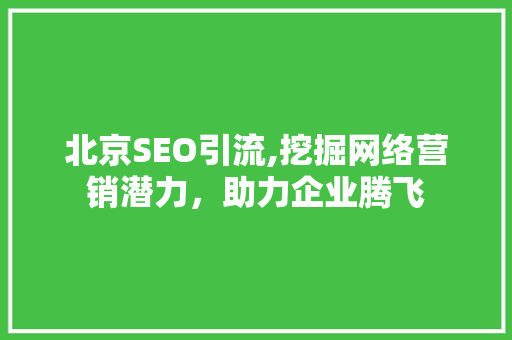 北京SEO引流,挖掘网络营销潜力，助力企业腾飞