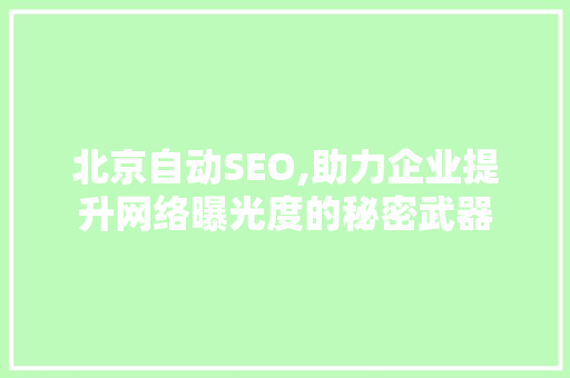 北京自动SEO,助力企业提升网络曝光度的秘密武器