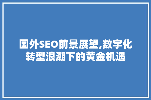 国外SEO前景展望,数字化转型浪潮下的黄金机遇