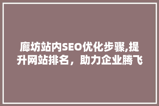 廊坊站内SEO优化步骤,提升网站排名，助力企业腾飞