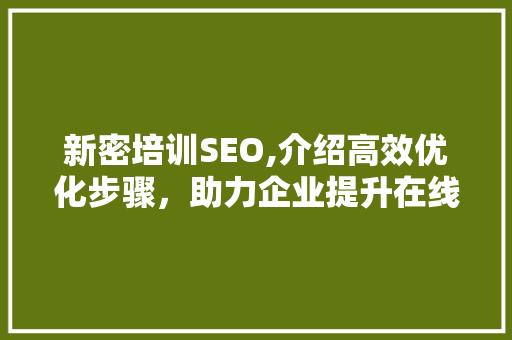 新密培训SEO,介绍高效优化步骤，助力企业提升在线竞争力