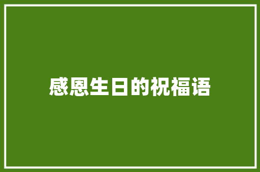 时代建站SEO,助力企业网站优化，提升品牌竞争力