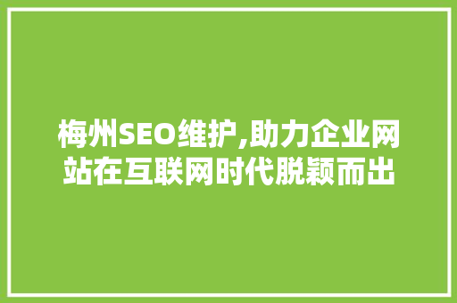 梅州SEO维护,助力企业网站在互联网时代脱颖而出