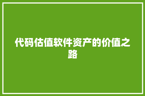代码估值软件资产的价值之路