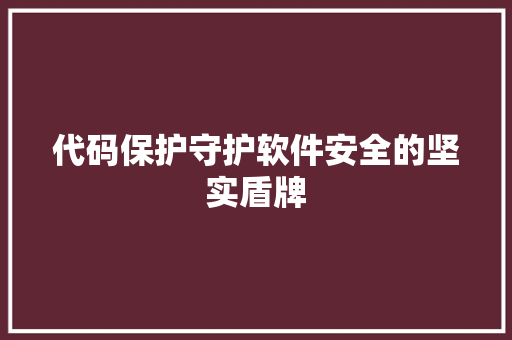 代码保护守护软件安全的坚实盾牌