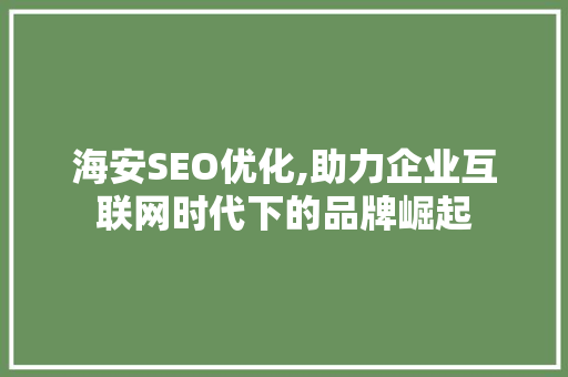 海安SEO优化,助力企业互联网时代下的品牌崛起