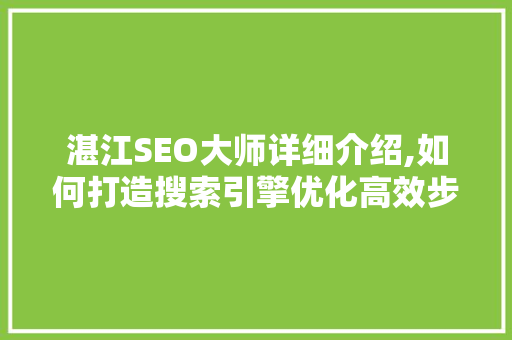 湛江SEO大师详细介绍,如何打造搜索引擎优化高效步骤