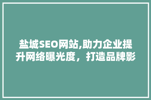 盐城SEO网站,助力企业提升网络曝光度，打造品牌影响力