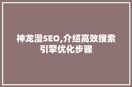 神龙漫SEO,介绍高效搜索引擎优化步骤