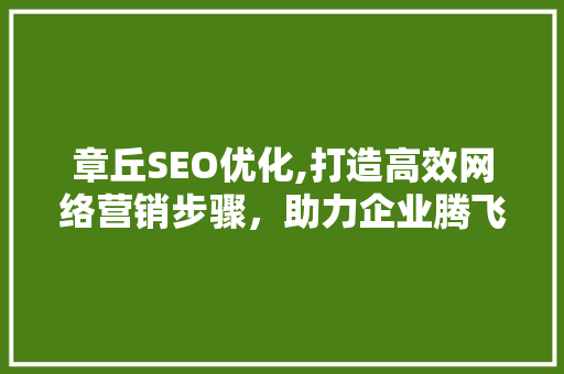 章丘SEO优化,打造高效网络营销步骤，助力企业腾飞