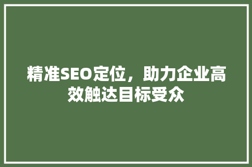 精准SEO定位，助力企业高效触达目标受众
