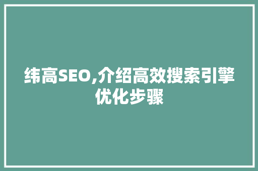 纬高SEO,介绍高效搜索引擎优化步骤