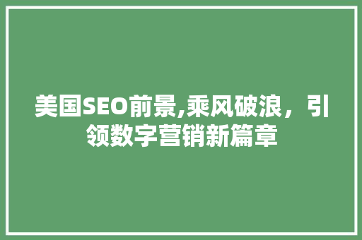 美国SEO前景,乘风破浪，引领数字营销新篇章