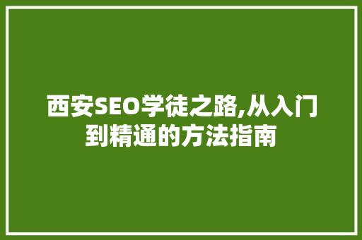 西安SEO学徒之路,从入门到精通的方法指南