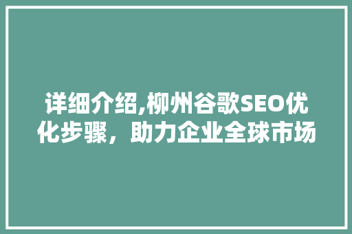 详细介绍,柳州谷歌SEO优化步骤，助力企业全球市场拓展