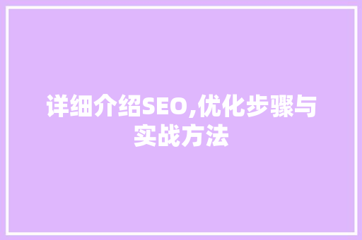 详细介绍SEO,优化步骤与实战方法