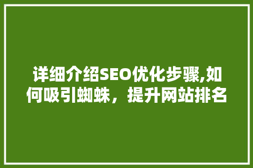 详细介绍SEO优化步骤,如何吸引蜘蛛，提升网站排名