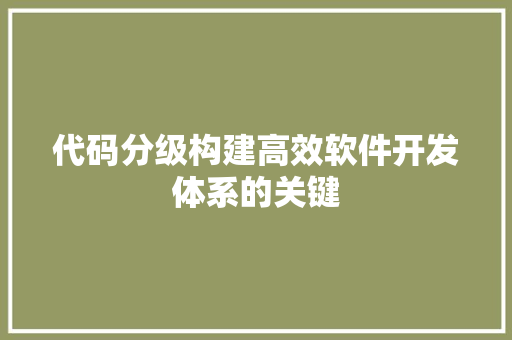 代码分级构建高效软件开发体系的关键