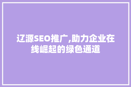 辽源SEO推广,助力企业在线崛起的绿色通道