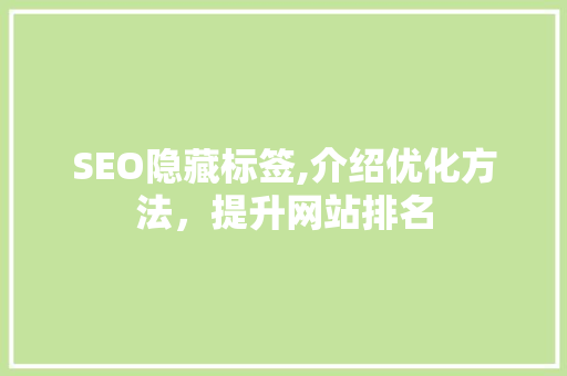 SEO隐藏标签,介绍优化方法，提升网站排名