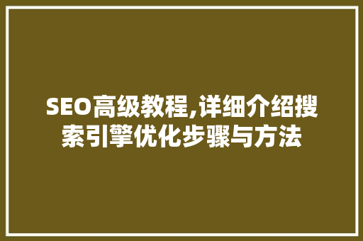 SEO高级教程,详细介绍搜索引擎优化步骤与方法