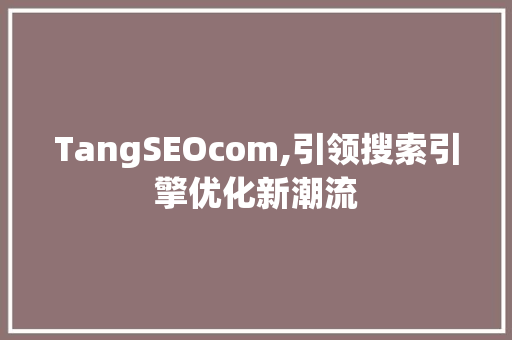 TangSEOcom,引领搜索引擎优化新潮流
