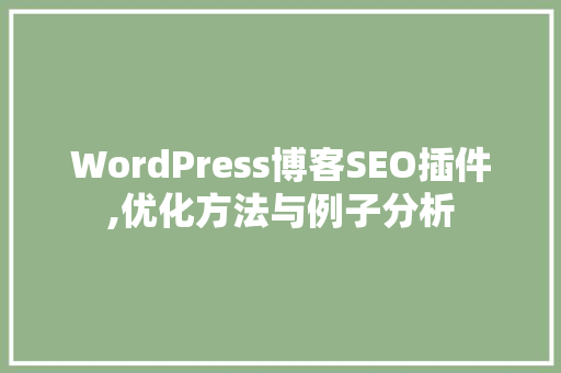WordPress博客SEO插件,优化方法与例子分析