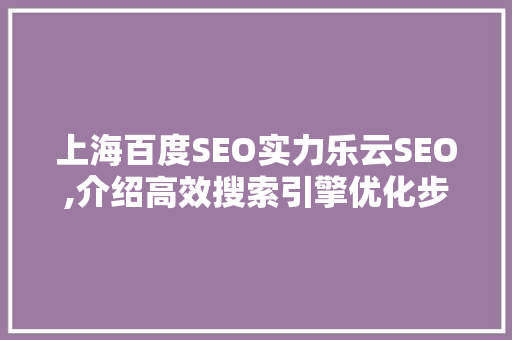 上海百度SEO实力乐云SEO,介绍高效搜索引擎优化步骤
