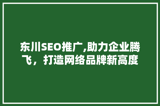 东川SEO推广,助力企业腾飞，打造网络品牌新高度