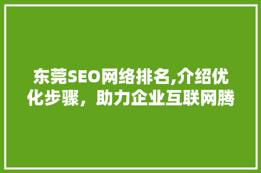 东莞SEO网络排名,介绍优化步骤，助力企业互联网腾飞