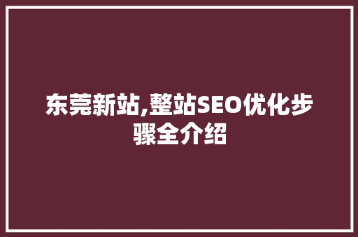 东莞新站,整站SEO优化步骤全介绍