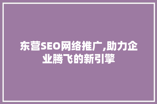东营SEO网络推广,助力企业腾飞的新引擎