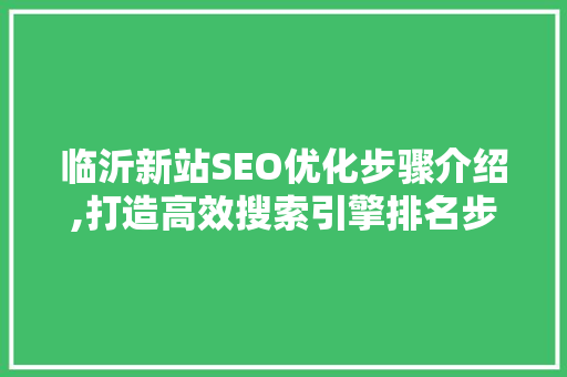 临沂新站SEO优化步骤介绍,打造高效搜索引擎排名步骤