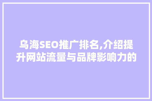 乌海SEO推广排名,介绍提升网站流量与品牌影响力的方法