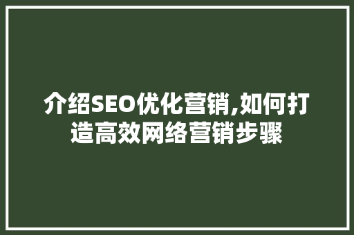 介绍SEO优化营销,如何打造高效网络营销步骤
