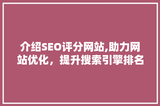 介绍SEO评分网站,助力网站优化，提升搜索引擎排名