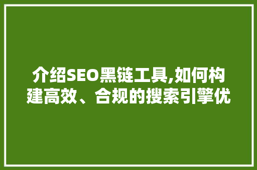 介绍SEO黑链工具,如何构建高效、合规的搜索引擎优化步骤
