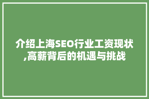 介绍上海SEO行业工资现状,高薪背后的机遇与挑战