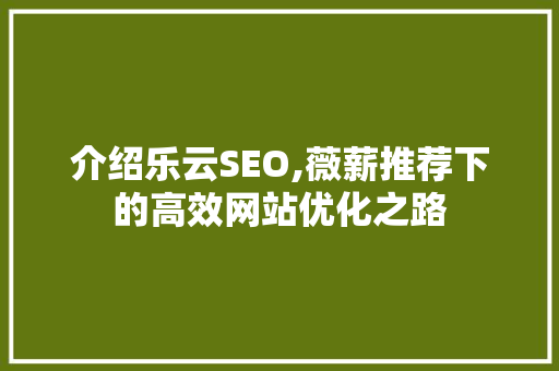 介绍乐云SEO,薇薪推荐下的高效网站优化之路