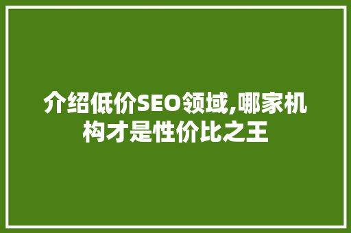 介绍低价SEO领域,哪家机构才是性价比之王