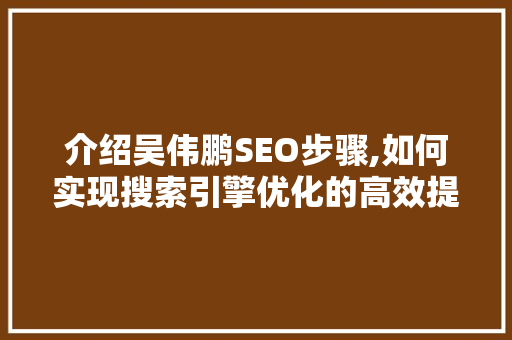 介绍吴伟鹏SEO步骤,如何实现搜索引擎优化的高效提升