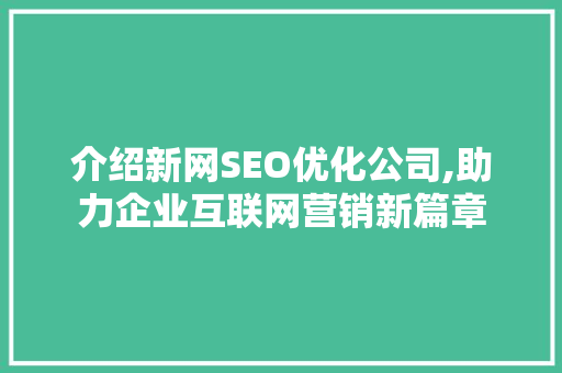 介绍新网SEO优化公司,助力企业互联网营销新篇章