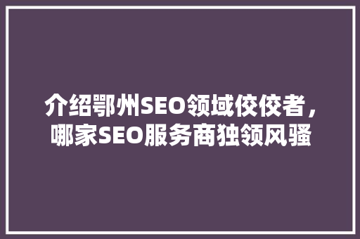 介绍鄂州SEO领域佼佼者，哪家SEO服务商独领风骚