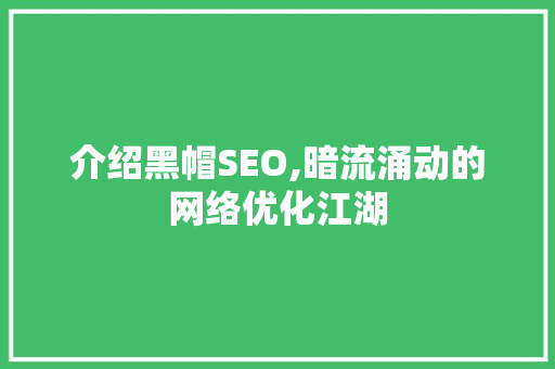 介绍黑帽SEO,暗流涌动的网络优化江湖